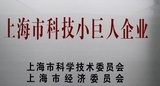 科技小巨人